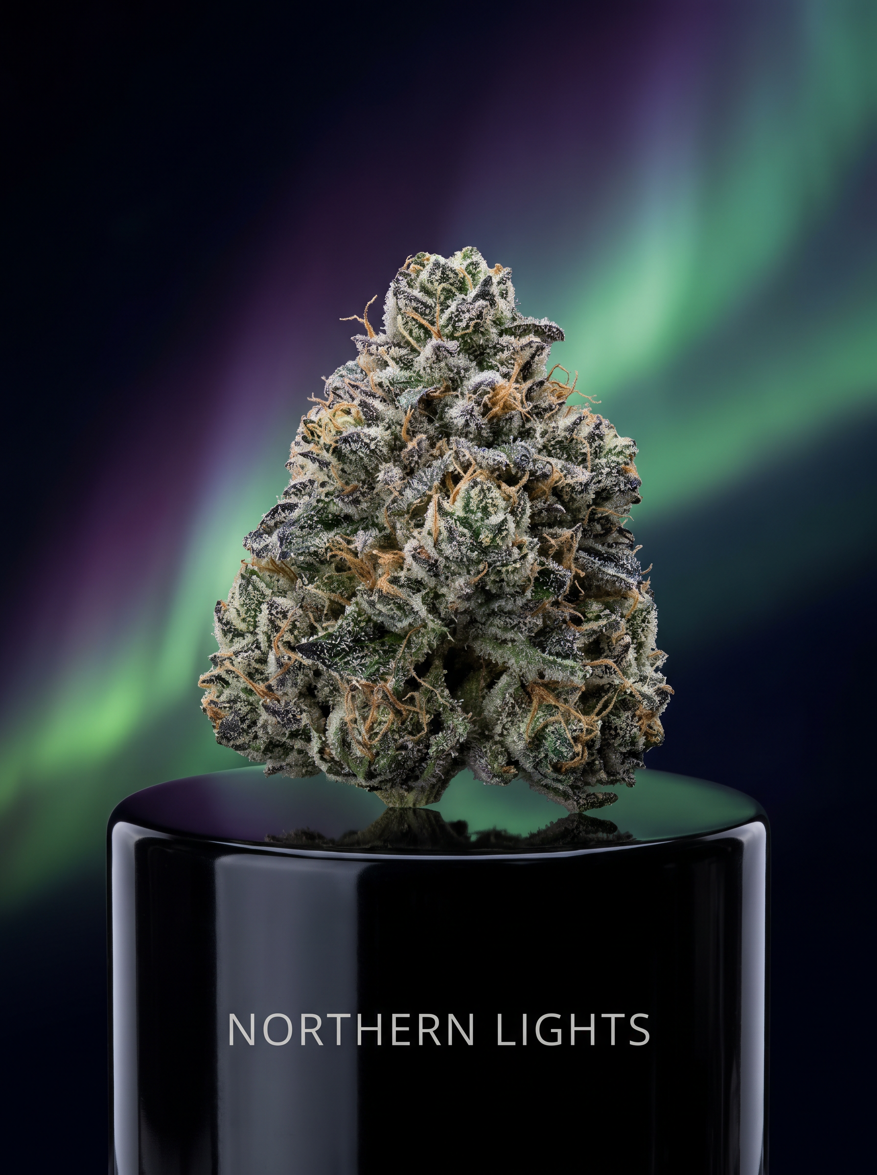 Northern Lights — heritage strain of CMB Legacies